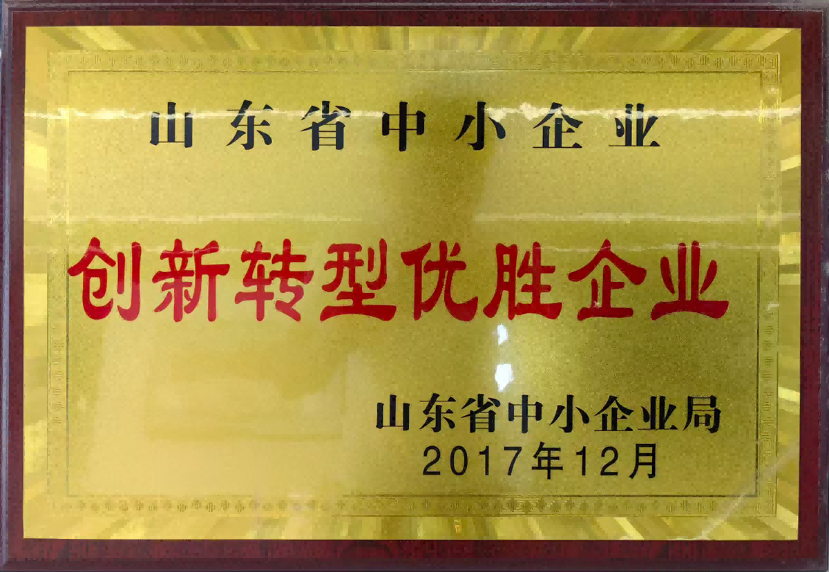 創(chuàng)新轉(zhuǎn)型優(yōu)勝企業(yè)
